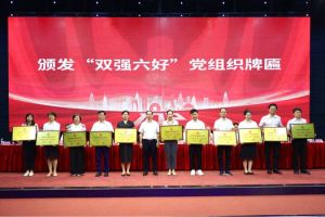 喜报！华体会买球(中国)集团党支部荣获广州市非公有制经济组织“双强六好”党
