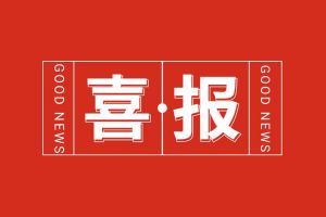 喜报！华体会买球(中国)集团党支部党建工作荣获多项市级表彰